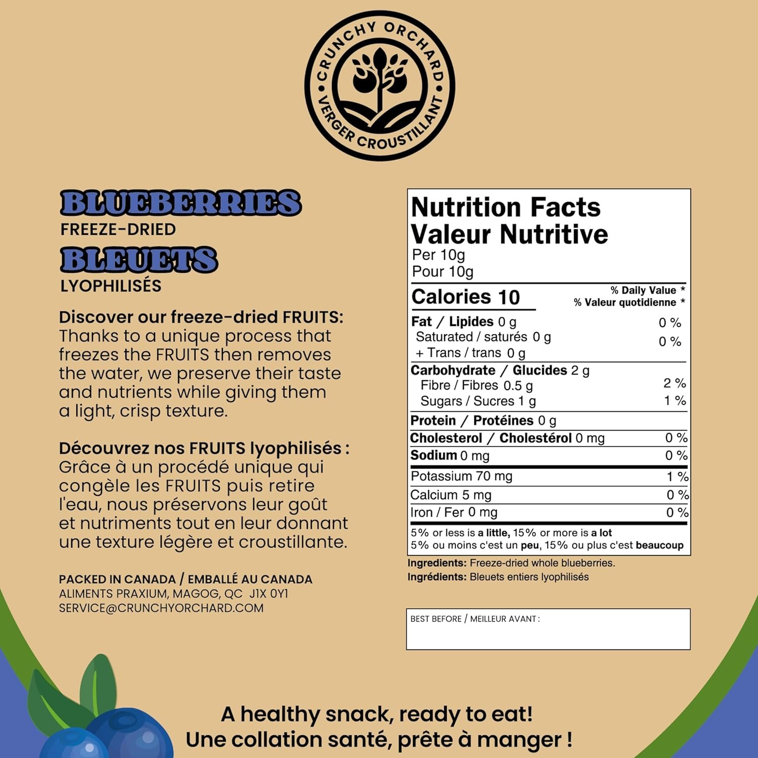 Freeze-Dried Whole Blueberries - Image 2